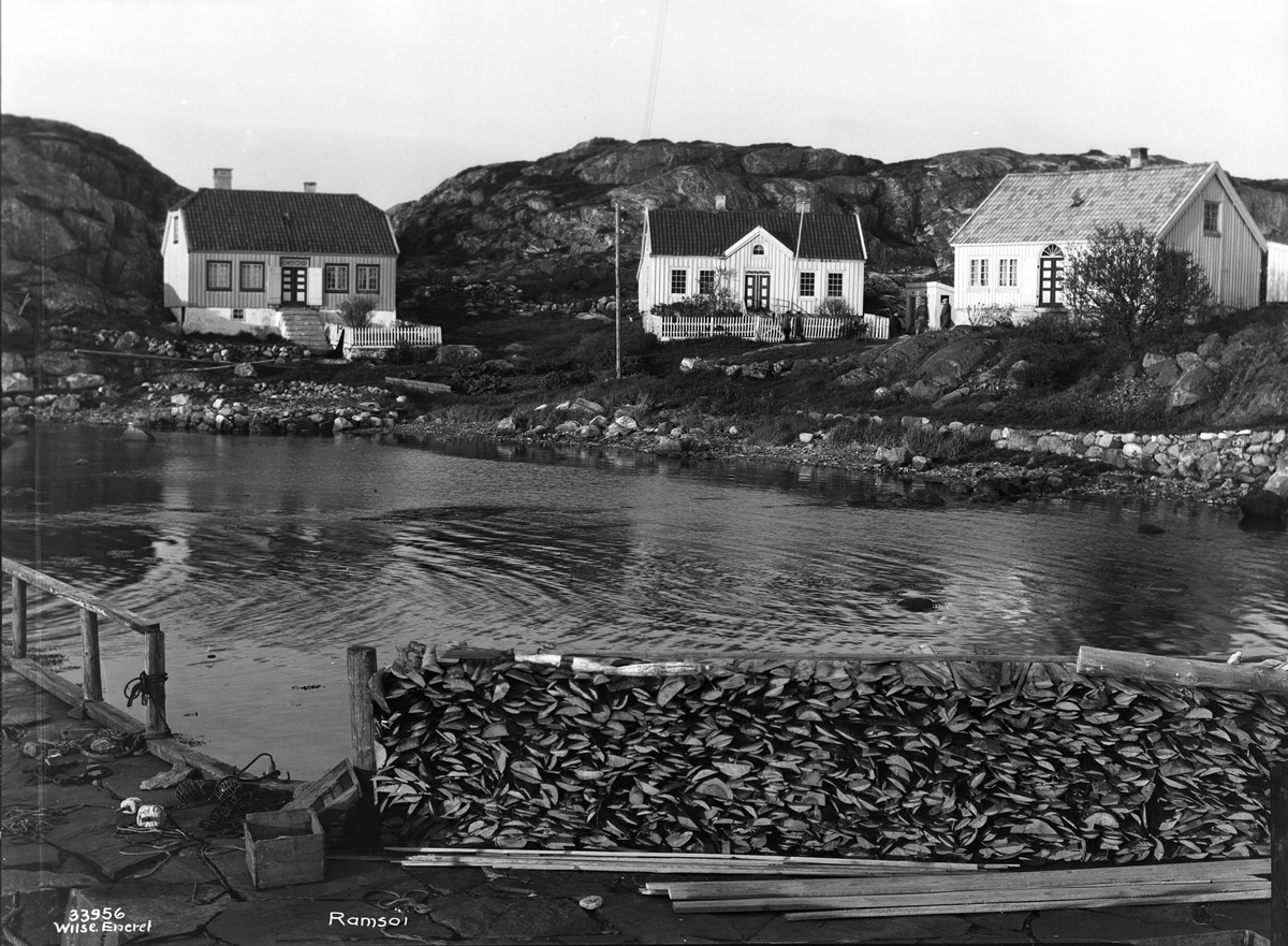 Anders Beer Wilse, Prot: Sørlandet - Ramsøi