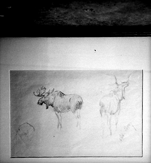 Knut Borg, Playing with motives of moose.