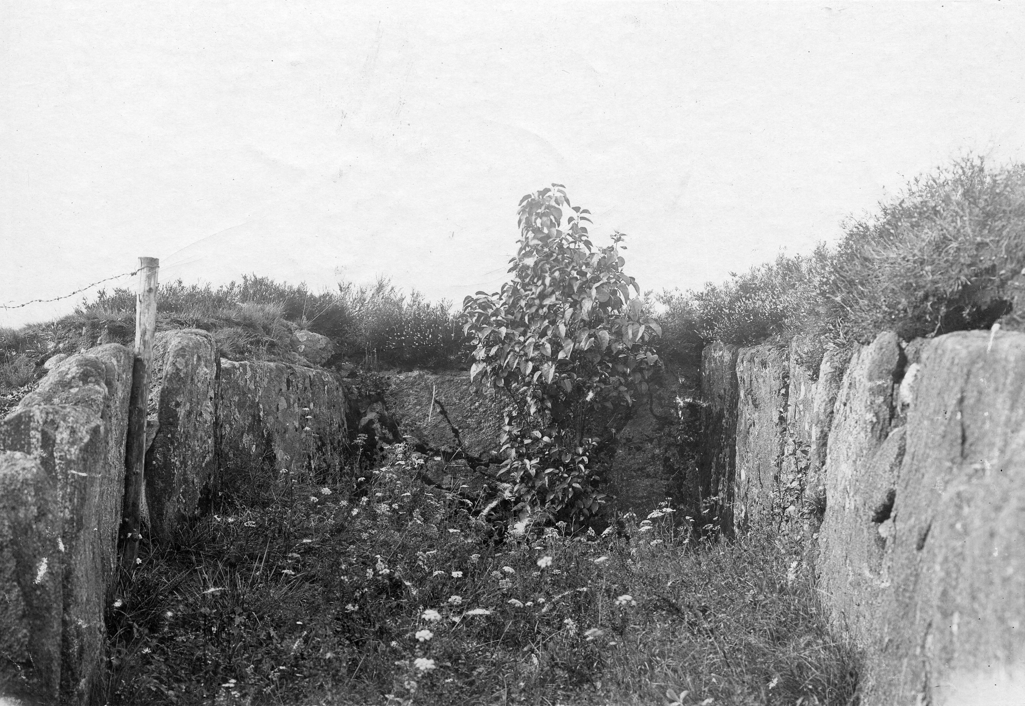 Okänd Fotograf, Lundskullen