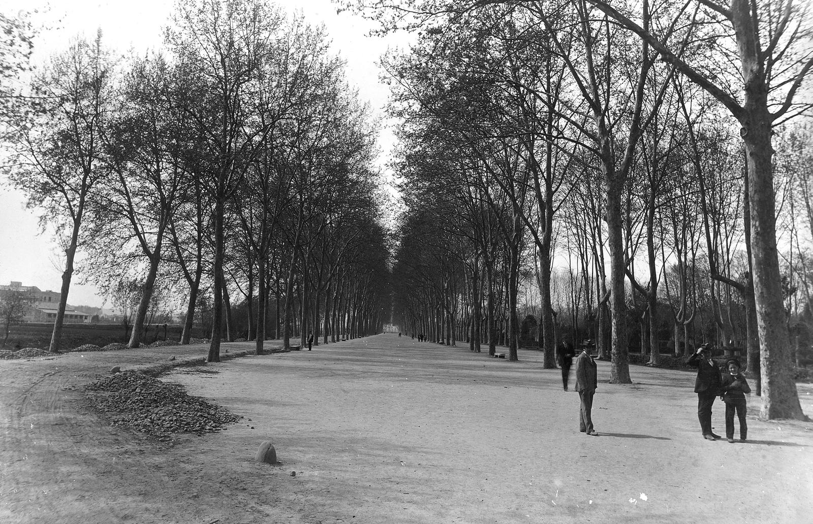 Desconegut, [The Meadow]