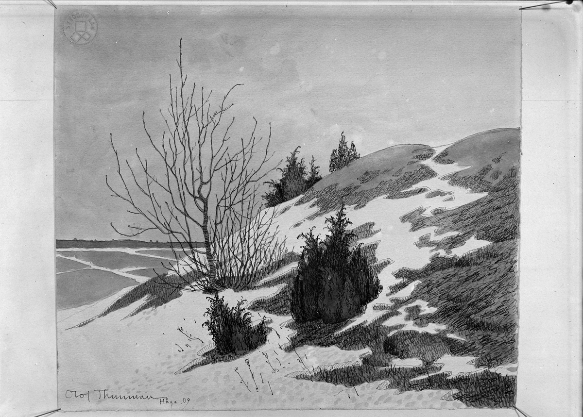 Paul Sandberg, Konstverk - grafiskt blad med motiv från Håga, Uppsala, signerat 1909 av konstnären Olof Thunman