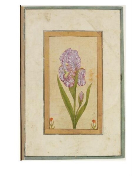 Unknown, Painting