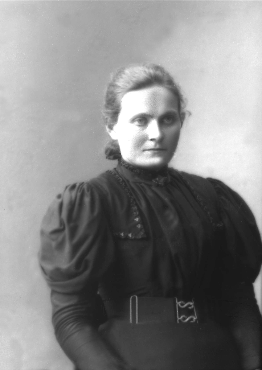 Gustav Borgen, NFB.46360