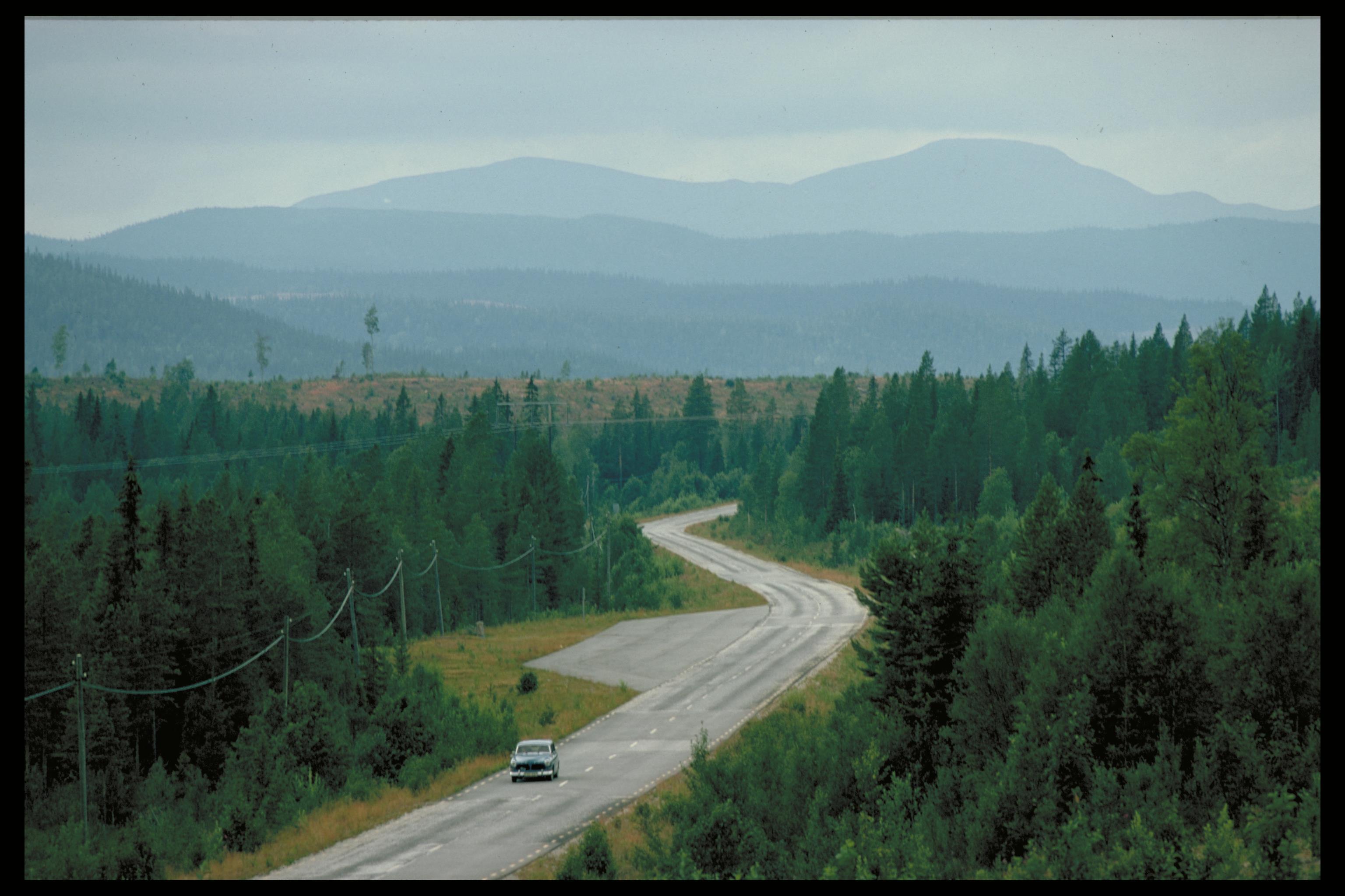 Pål-Nils Nilsson, Torsfjärden