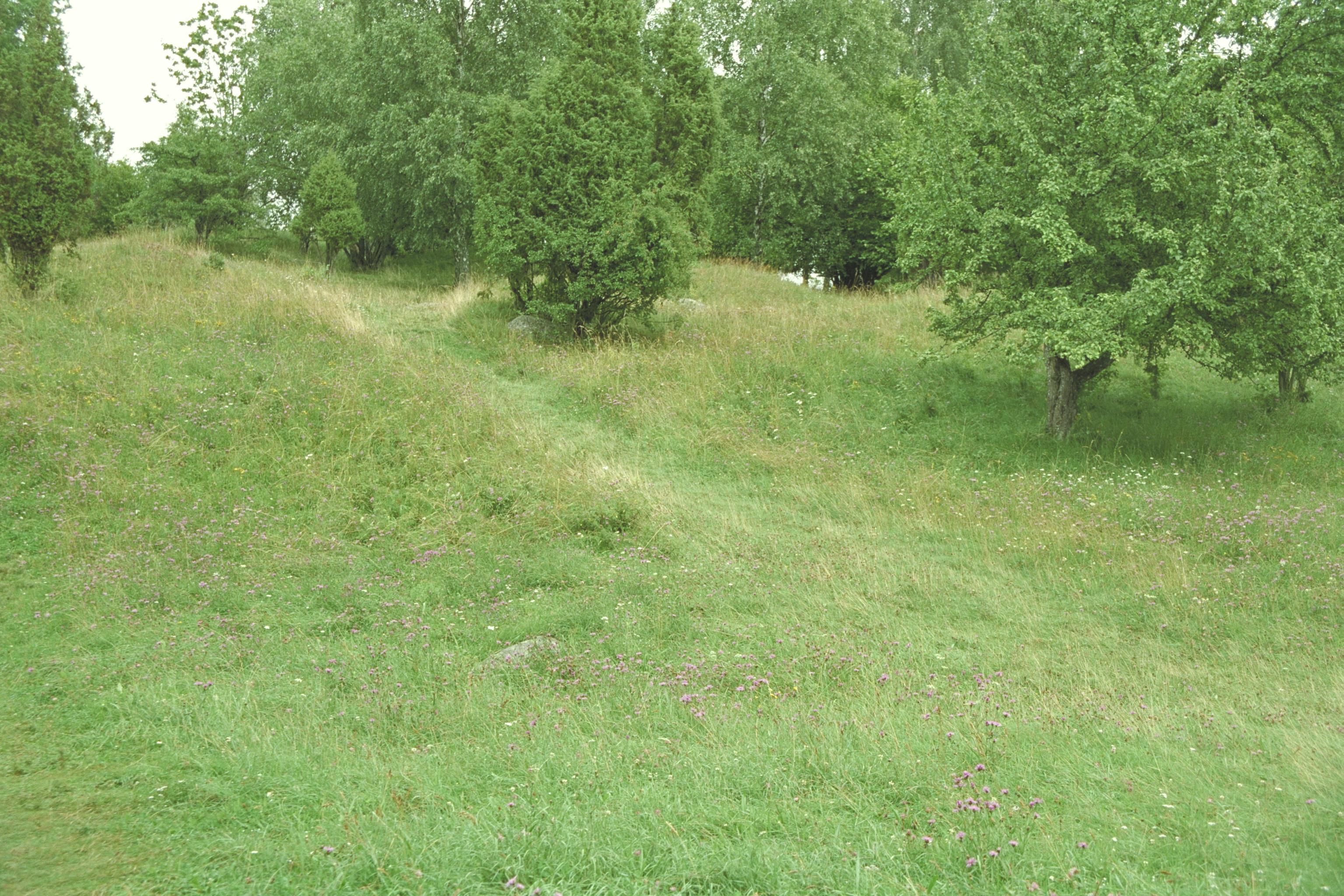 Bengt A Lundberg, Björkö-Birka