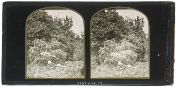 Unknown, [Unidentified elderly British man reading on the grass near a grove of trees, his white hat resting on his leg]