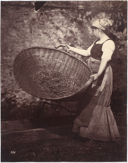 Unknown, [Peasant Woman with Winnowing Basket]