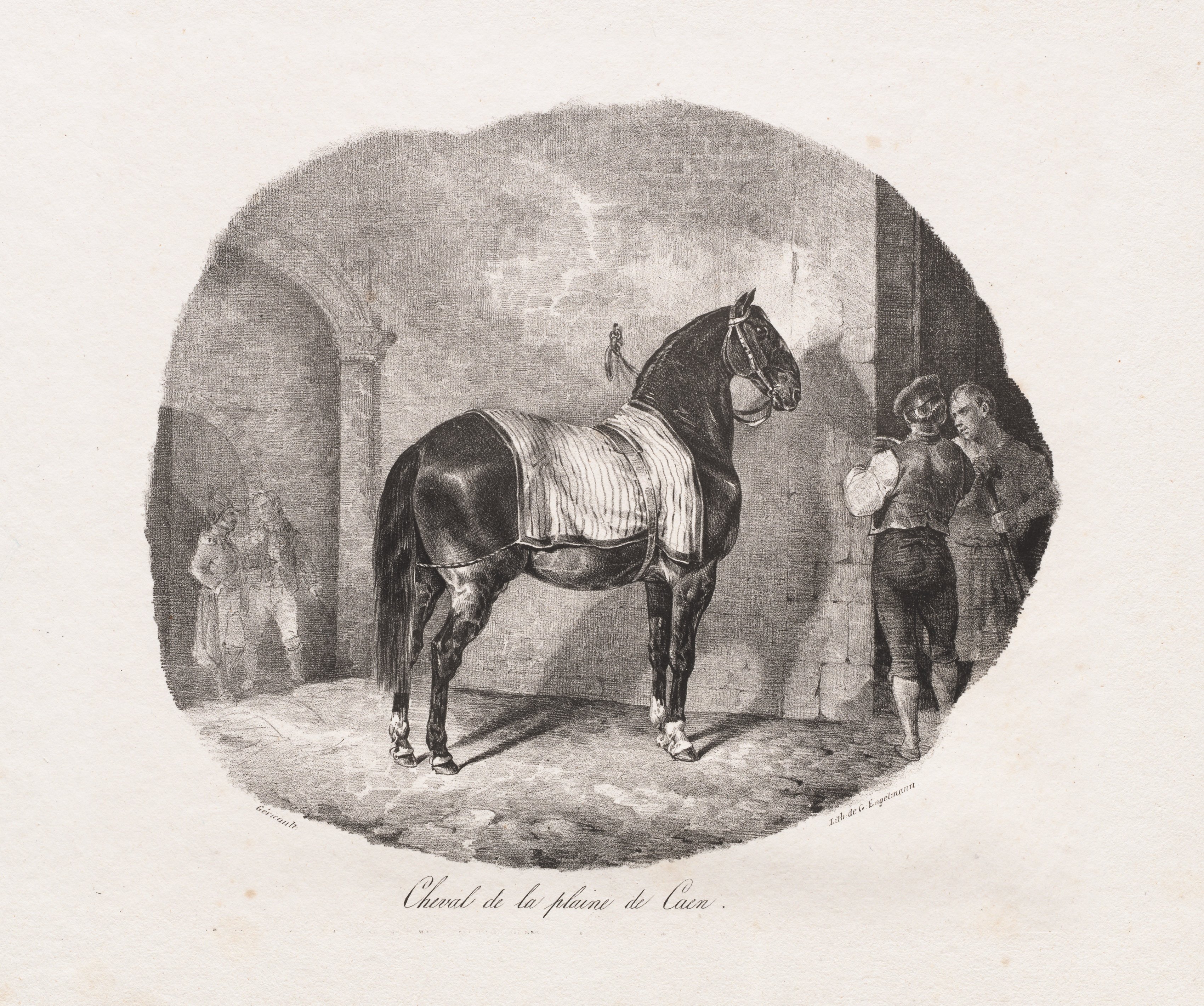 Théodore Géricault, Lithographed Studies of Horses: Pl. 7, Horse from the Caen Plain