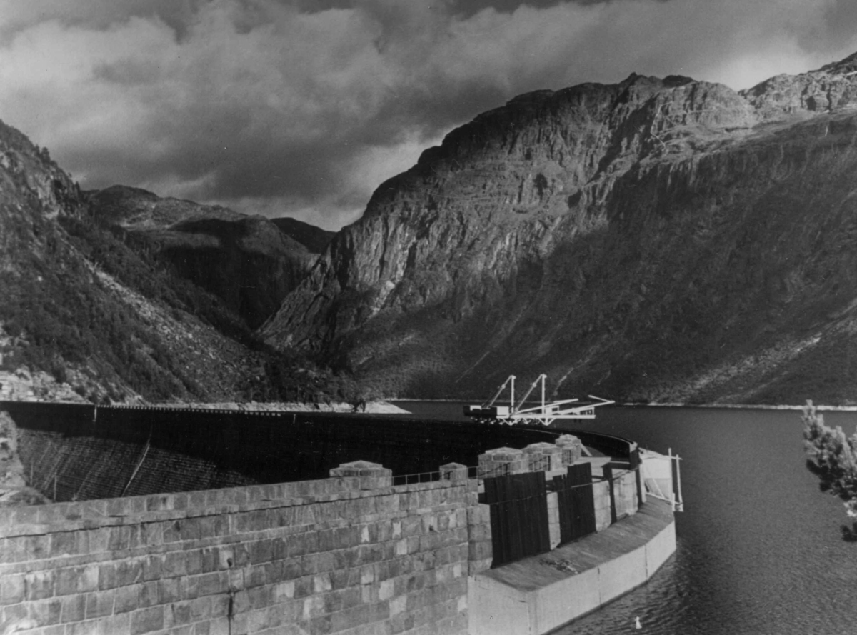 Anders Beer Wilse, Wilse original, Ringdalsdammen, Ringedalsvatnet