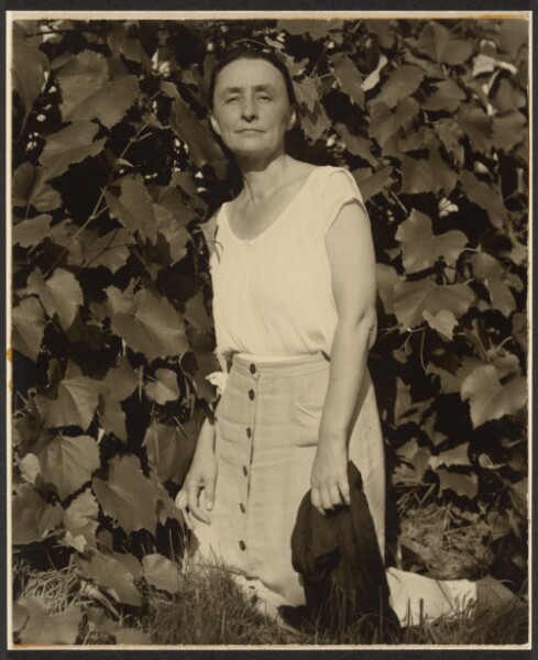 Alfred Stieglitz, Georgia O'Keeffe: A Portrait