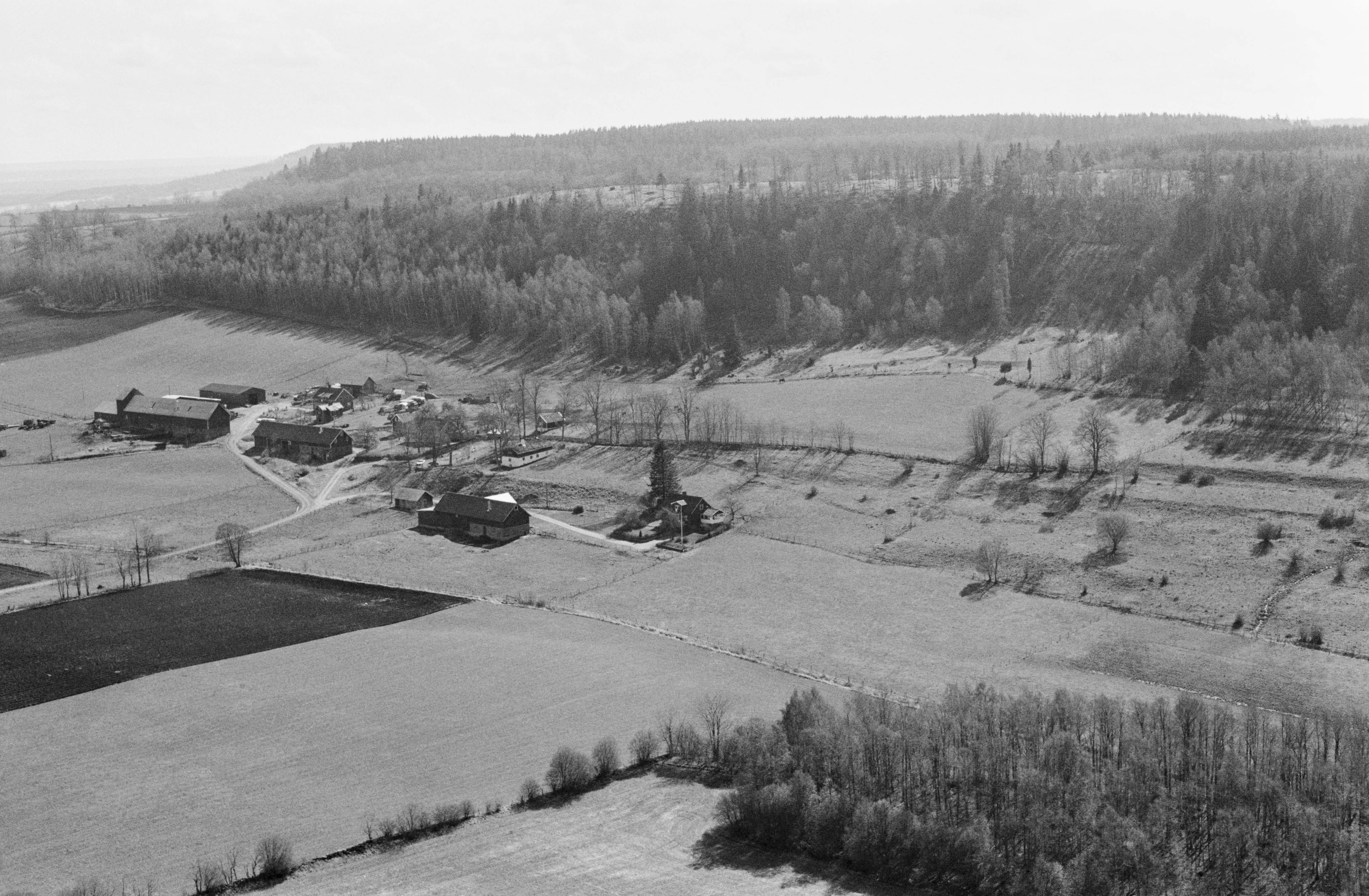 Jan Norrman, Dala 136:1