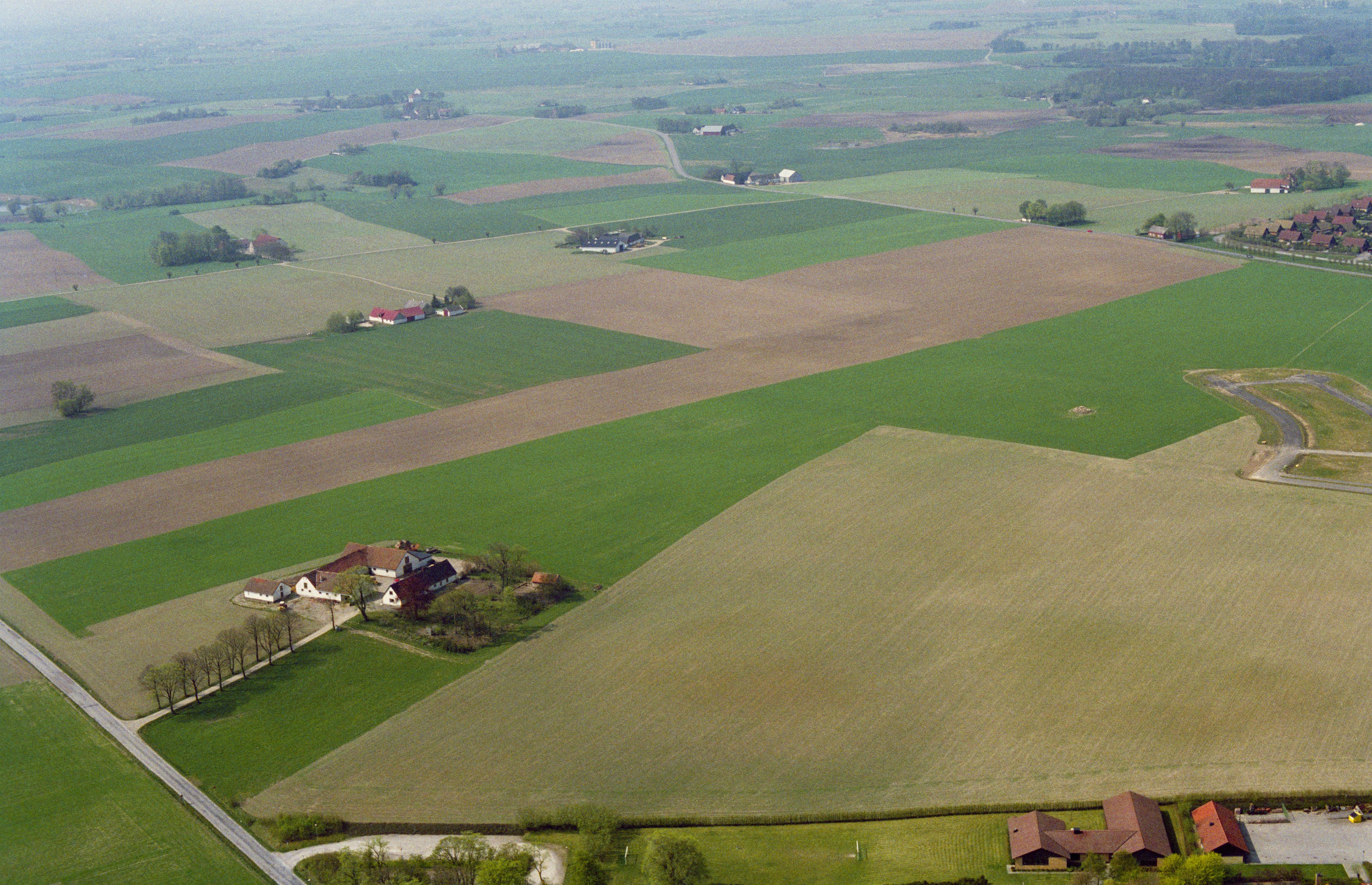 Jan Norrman, Skurup