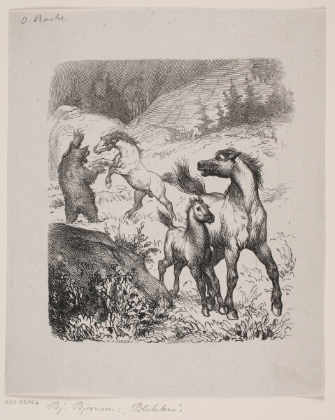 H.P. Hansen, Blakken
