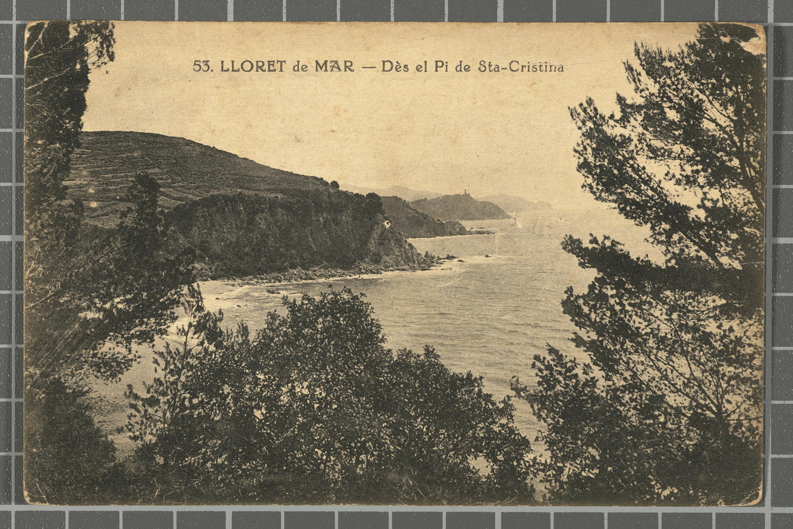 Desconegut, 53. Mar’s Lloret - Dès the Pine of Sta-Cristina