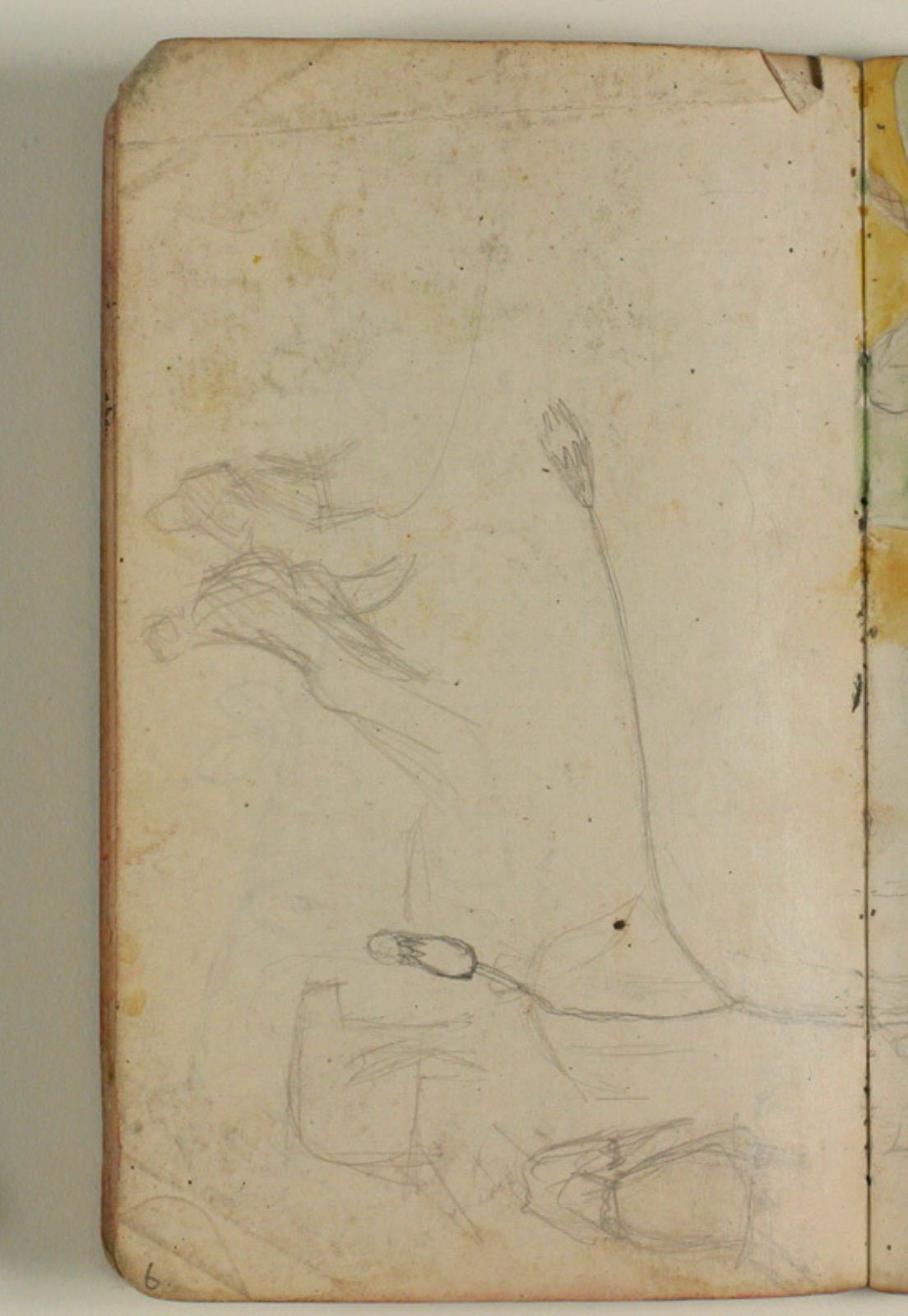 Niels Larsen Stevns, Figur- og plantestudier