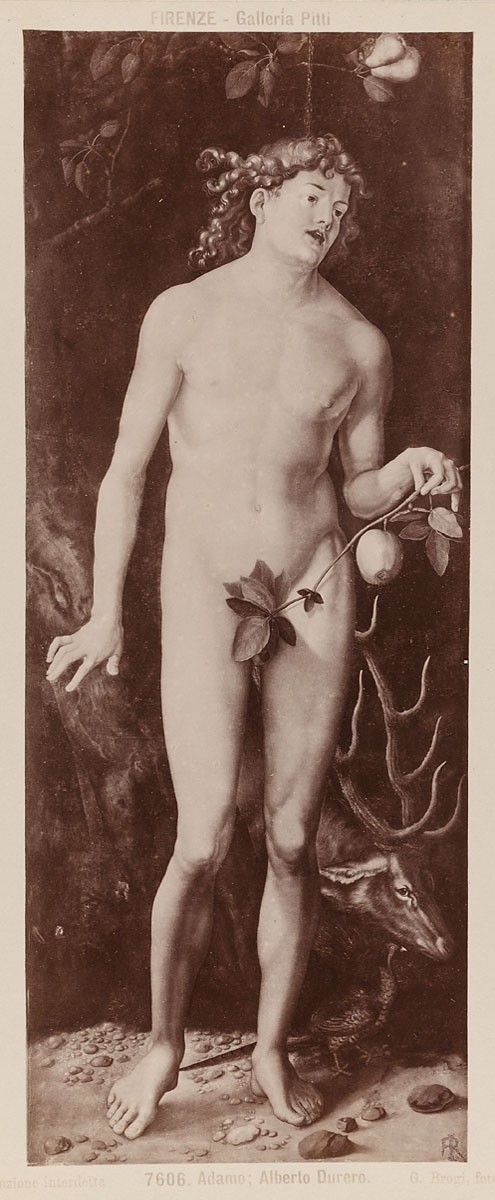 Giacomo Brogi, Firenze - Galleria Pitti: Adamo, Alberto Durero