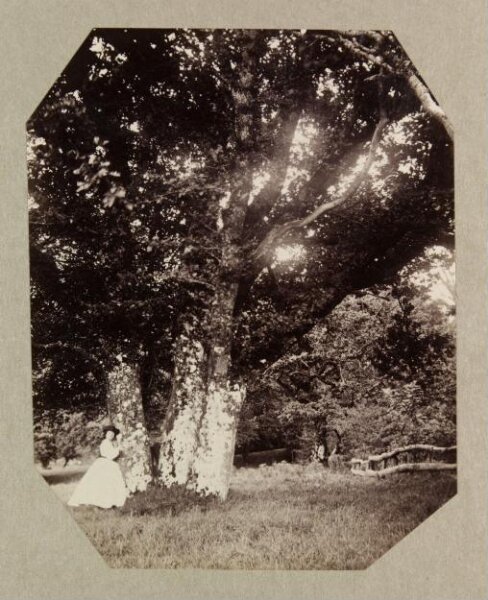 Clementina, Lady Hawarden, Photograph
