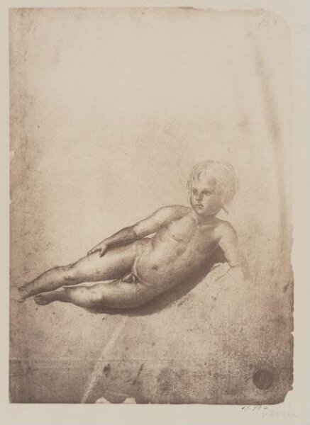 Fratelli Alinari, Photograph