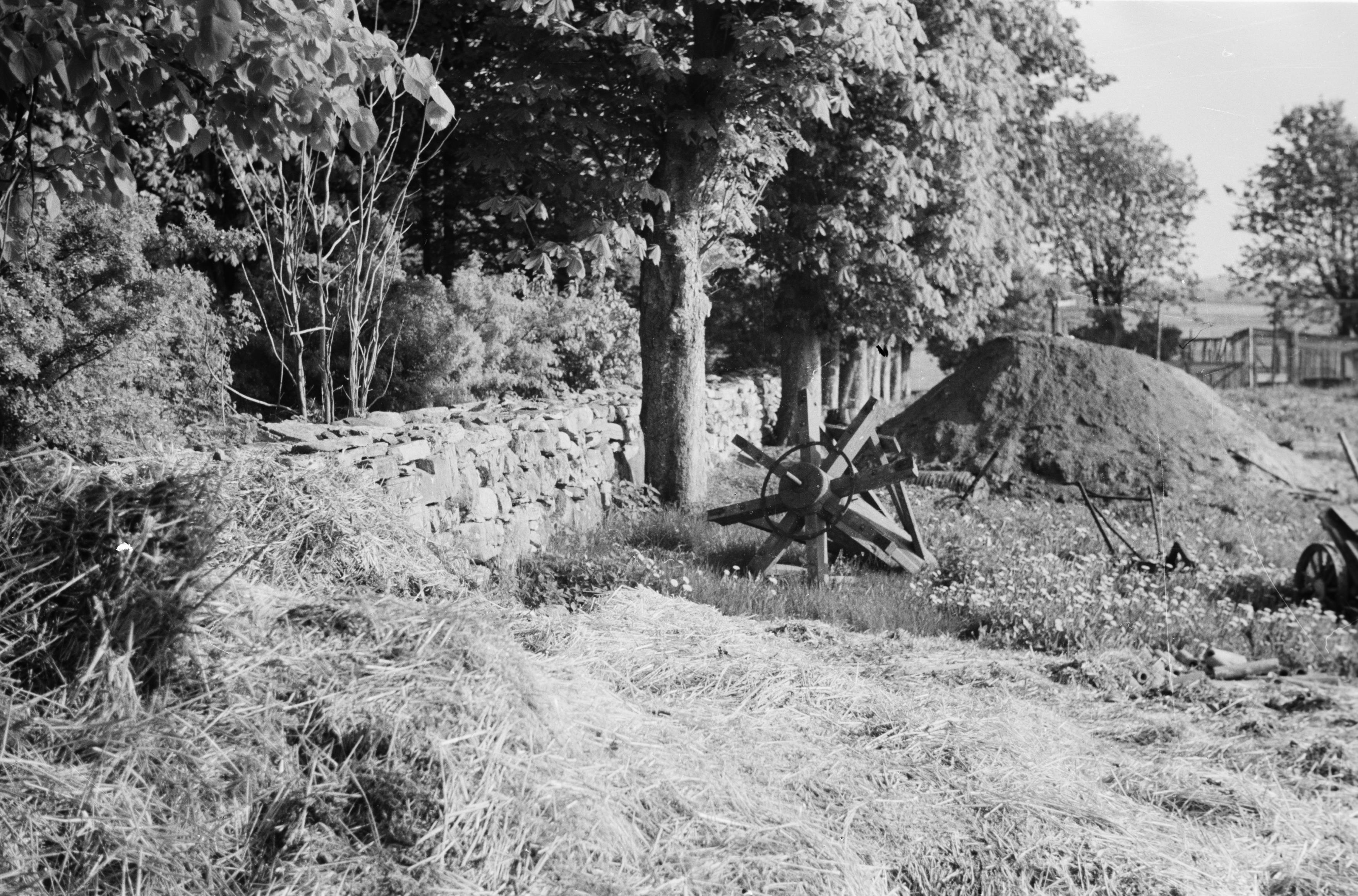 Bertil Berthelson, Friggeråkers kyrkoruin