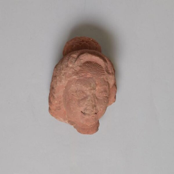 Unknown, Head