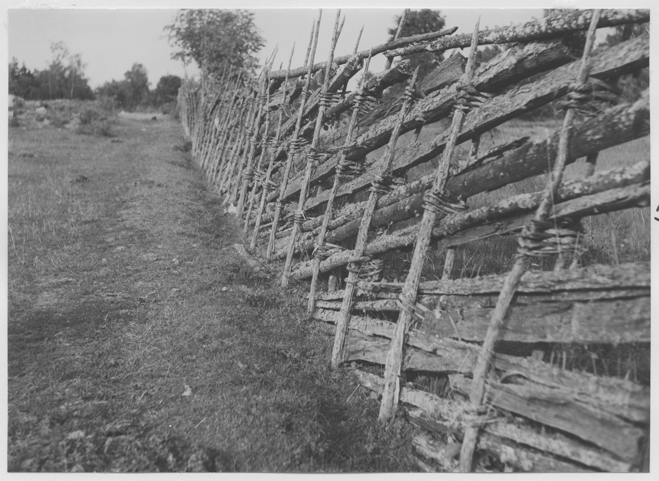 Mårten Sjöbeck, Svartbäck
