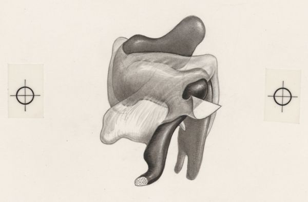 J Tinkelenberg, Part of the heart and circulatory system