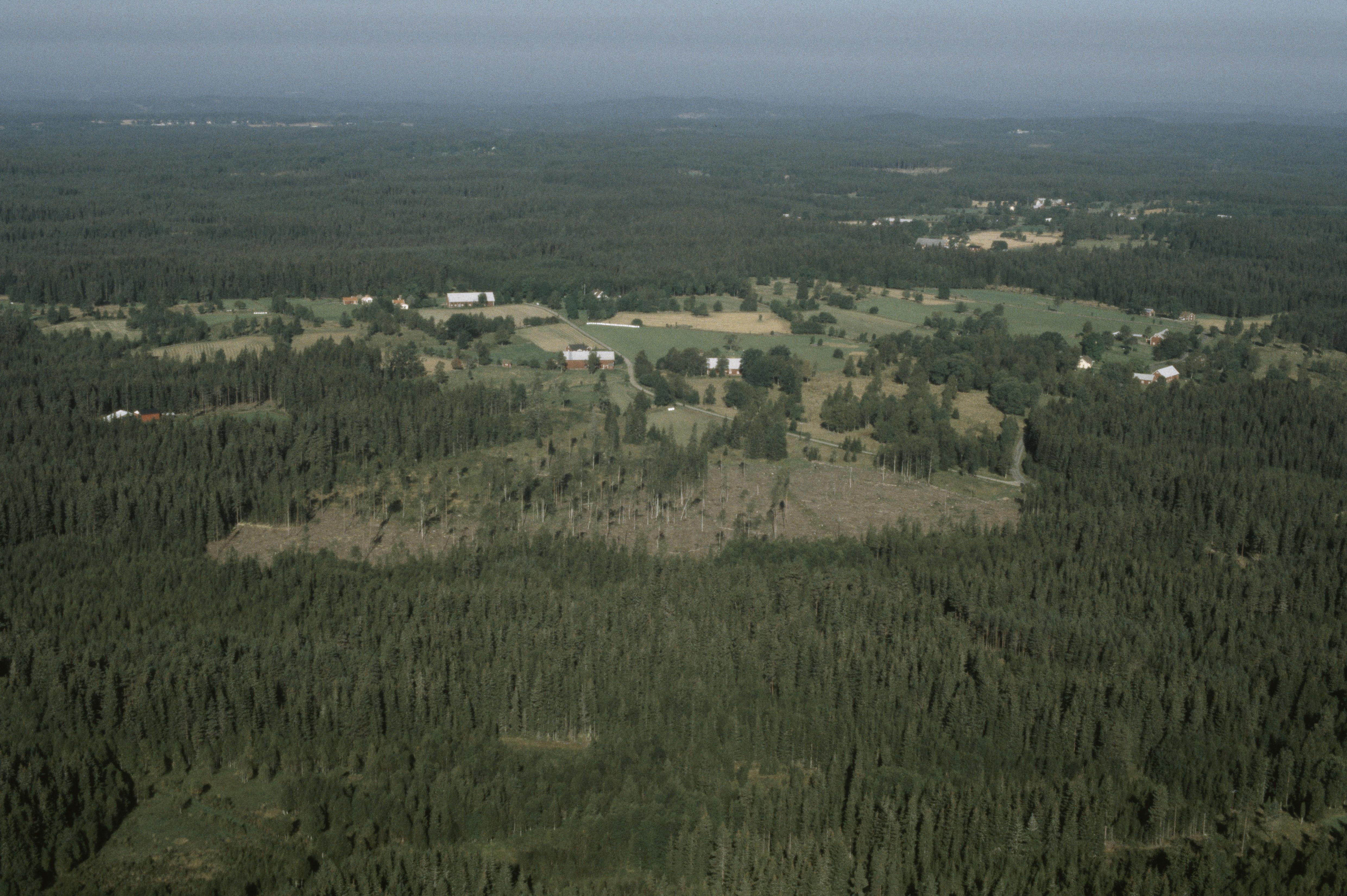 Jan Norrman, Sniparp