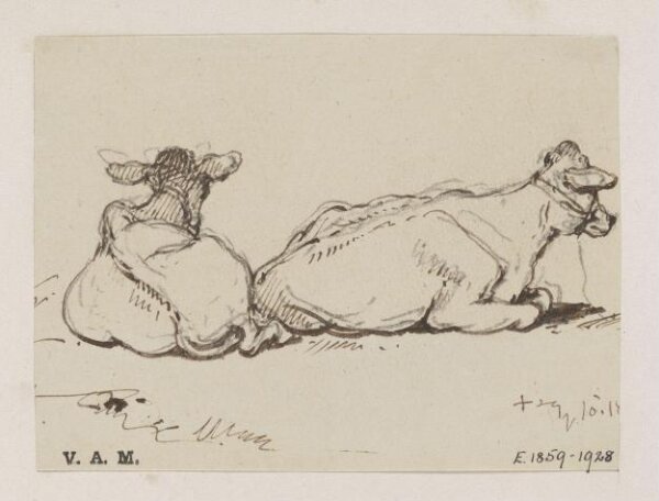 George Chinnery, Two cows