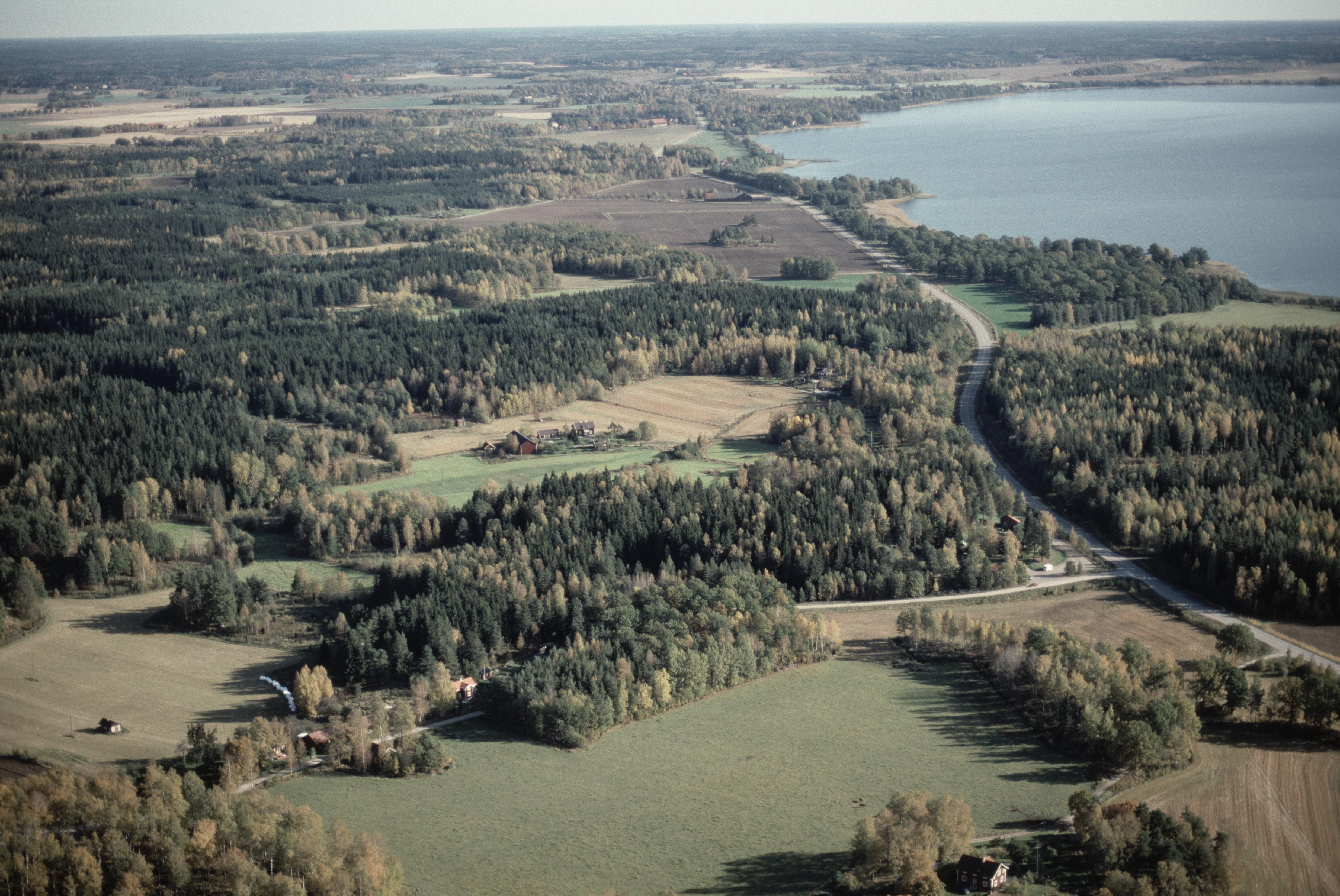 Jan Norrman, Julita 82:1