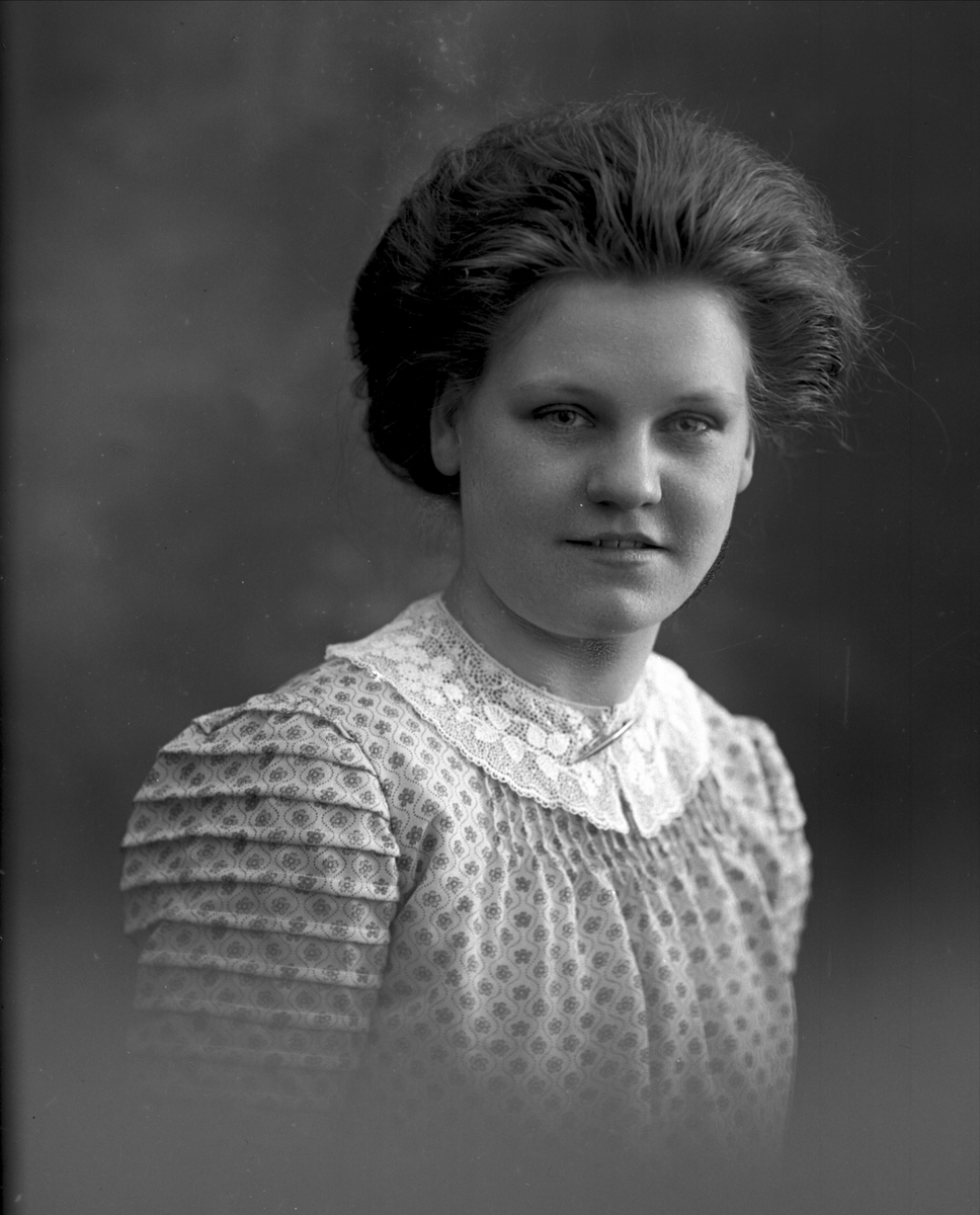 Gustav Borgen, NFB.28587