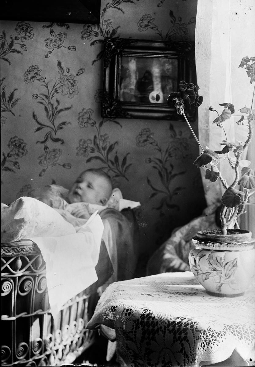 Okänd,, The probable Ruben and Christiane Liljefors son Roland in the home in Gothenburg, Sweden 1902