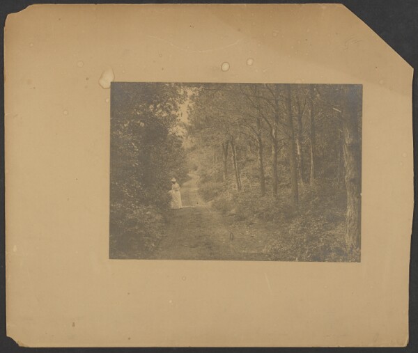 Unknown, [Woman picking flowers on forest road]