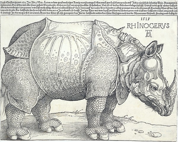 Albrecht Dürer, The Rhinoceros