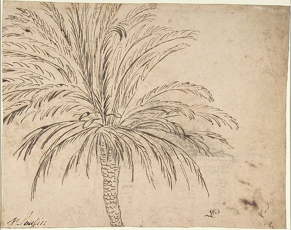 Nicolas Poussin, Study of a Palm Tree (recto); Mountain Landscape (verso)