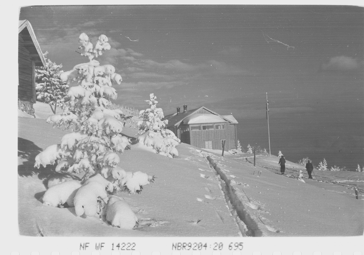 Anders Beer Wilse, Prot: Fjellhvil Hotel