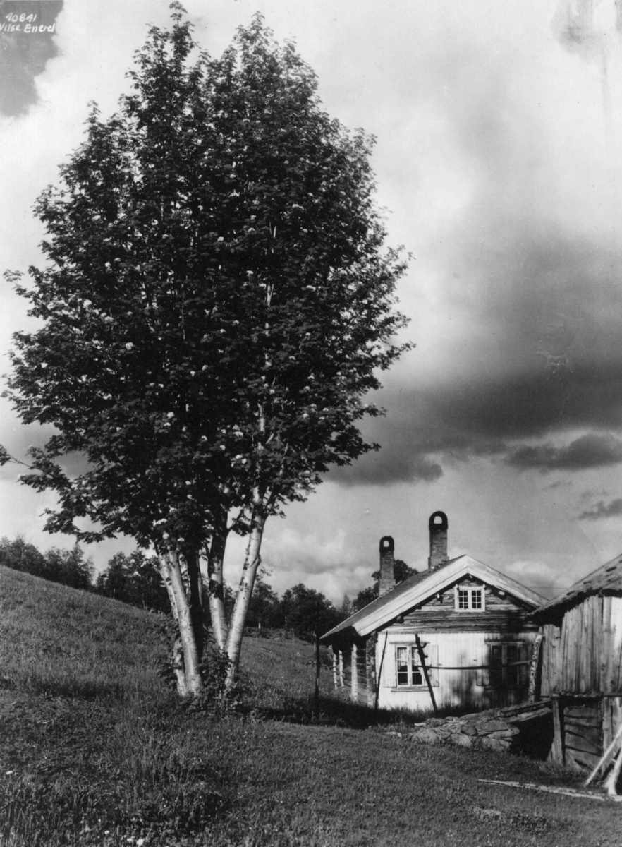 Anders Beer Wilse, Landskap, Bebyggelse