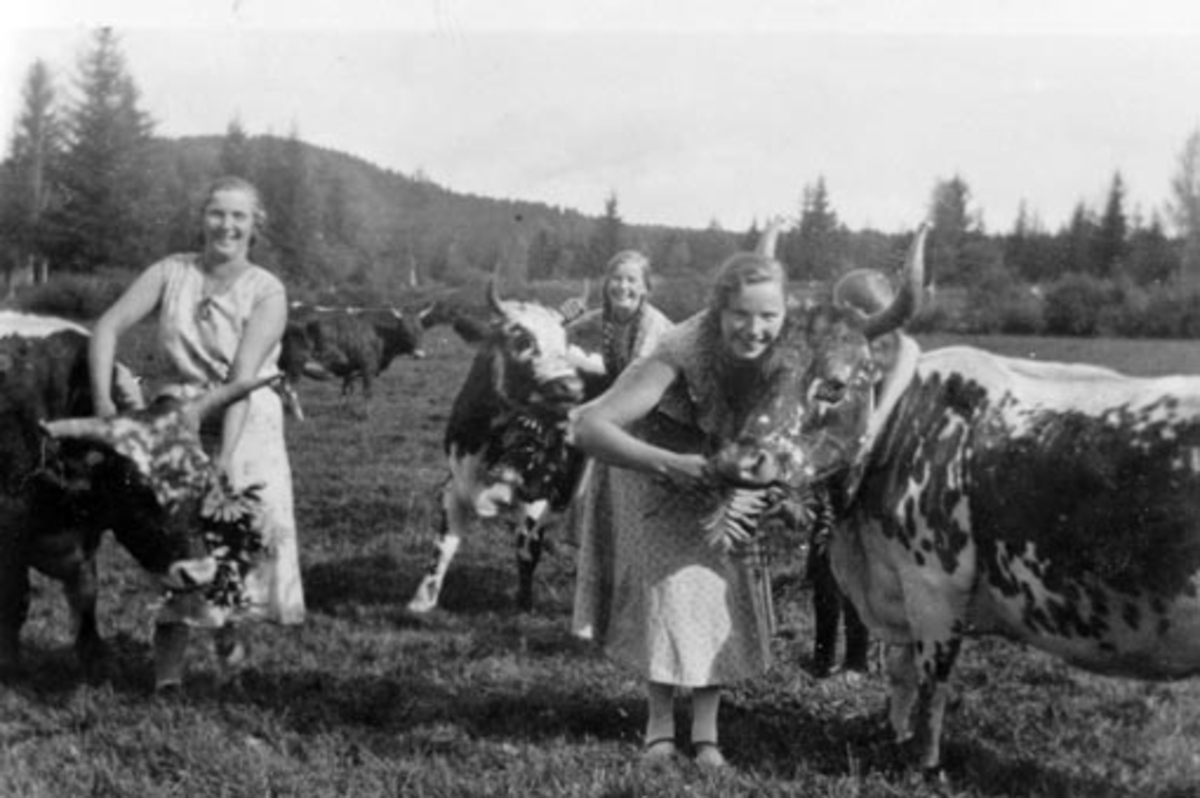 Anno Domkirkeodden, Telemarksku på beite på Berger, Stavsjø, Hedmark. Ukjent budeie, Tora Aslaug Berger f.1916 og Else Eline Berger (1913-1997).