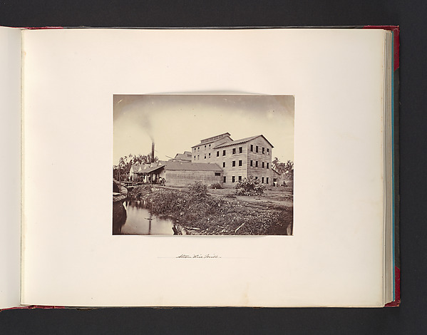 John Thomson, Steam Rice Mill