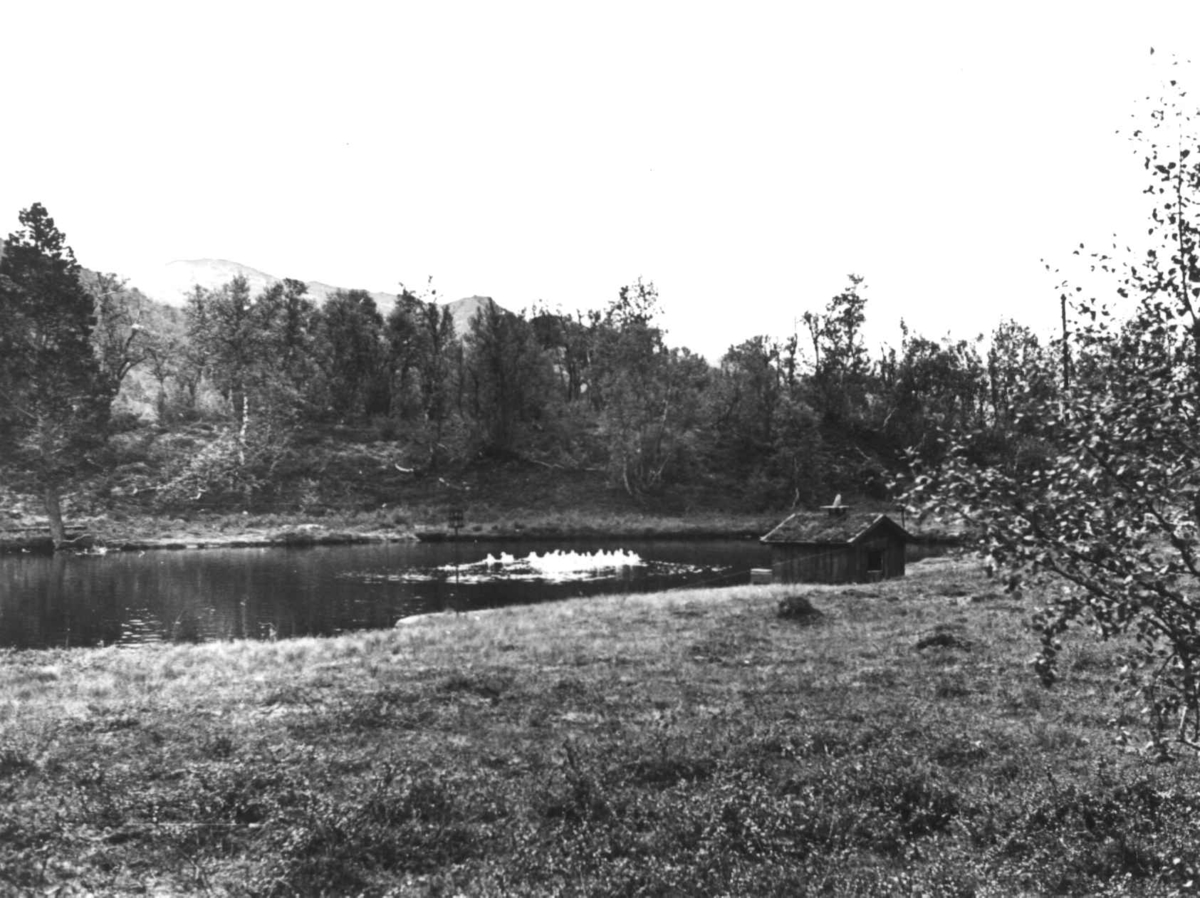 Anna Grostøl, Utsikt frå Hovden Turisthotell, Bykle 1939.