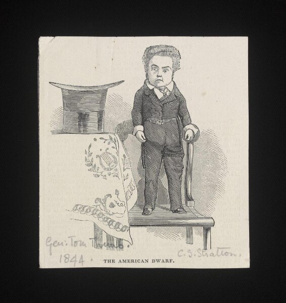 Unknown, The American Dwarf