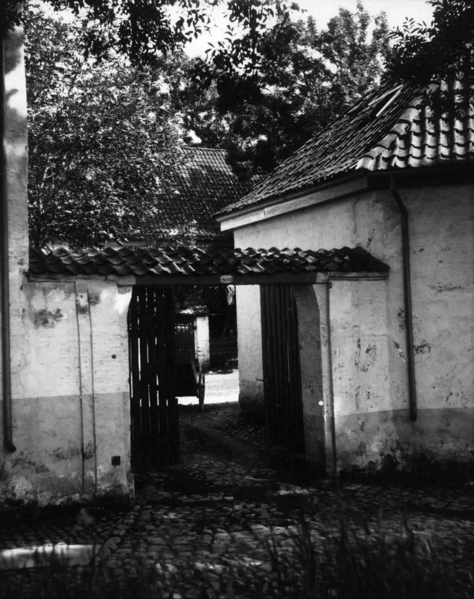 Hermann Christian Neupert, Postkort. Motiv fra Fredrikstad festning. Port omgitt av trær.