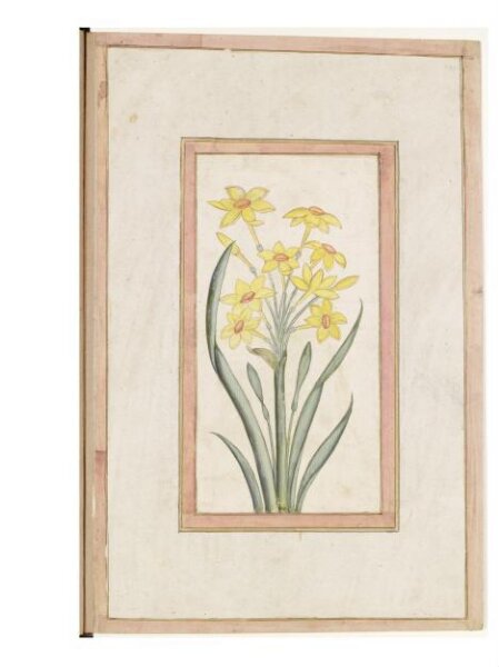 Unknown, Painting