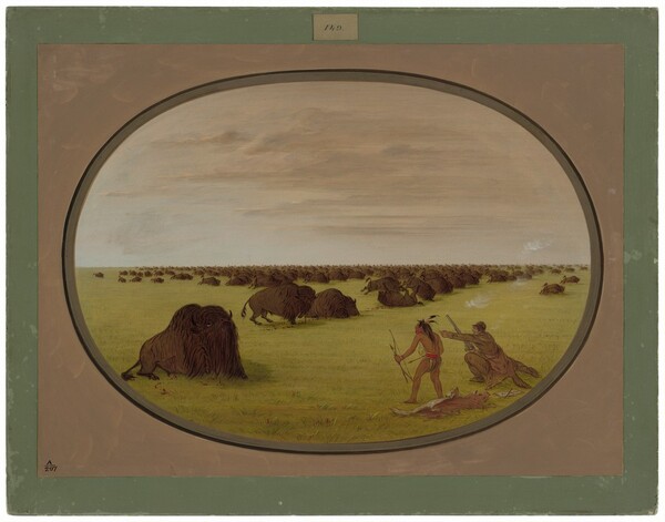 George Catlin, Catlin and Indian Attacking Buffalo