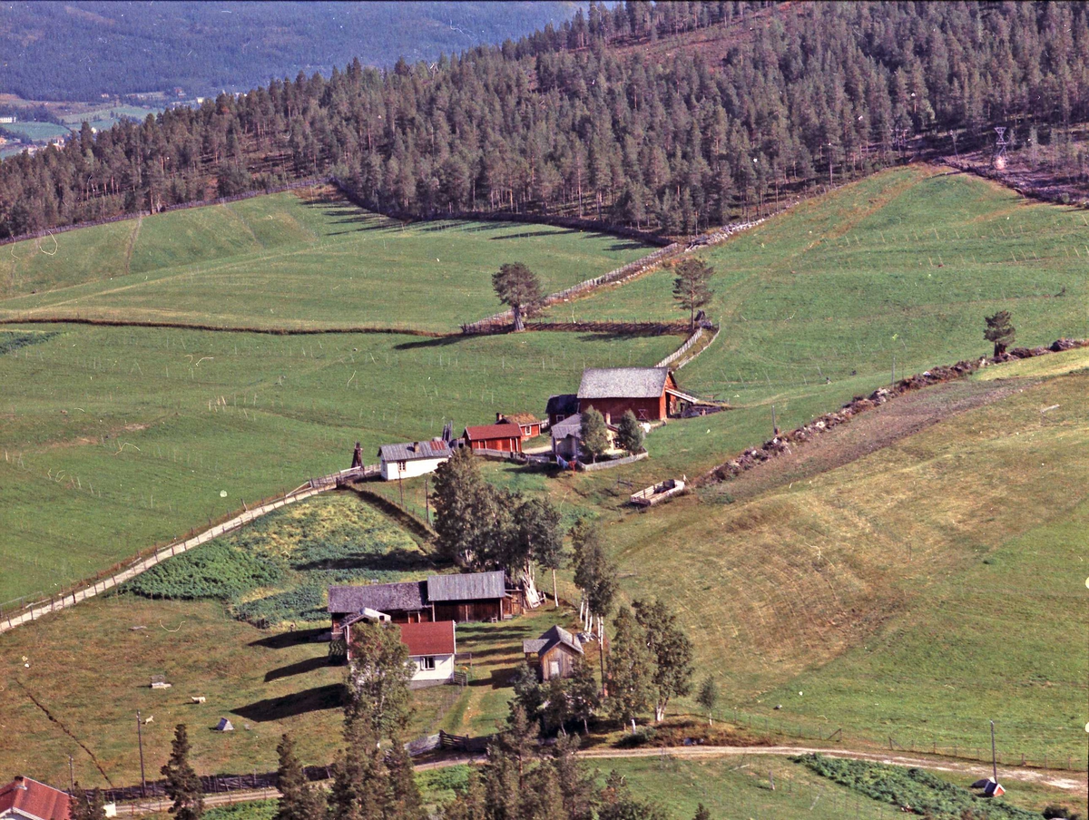 Widerøes Flyveselskap A/S, Gårdsbruk.