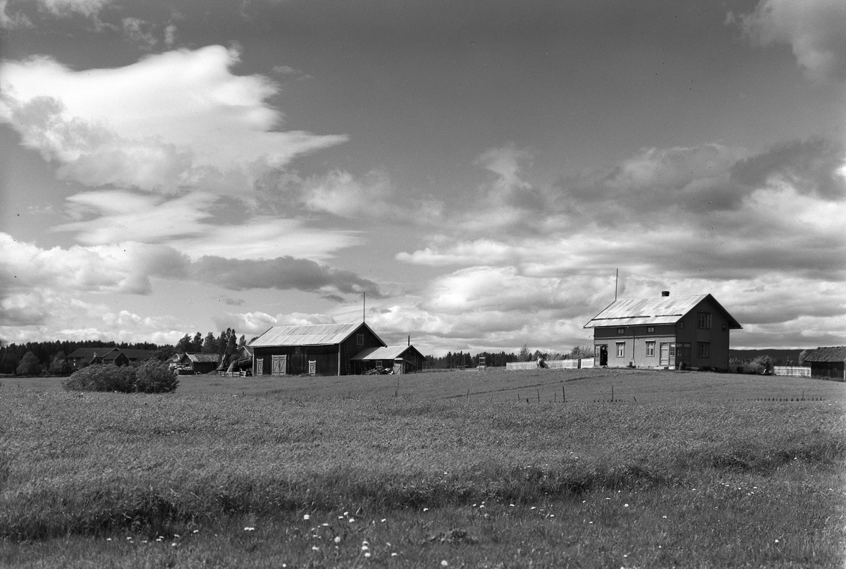 Anno Domkirkeodden, EKSTR: GARDSTUN, BALKE ØDEGÅRD. Se Løtenboka, bind 1. Bygdeboka fra 1949, side 147