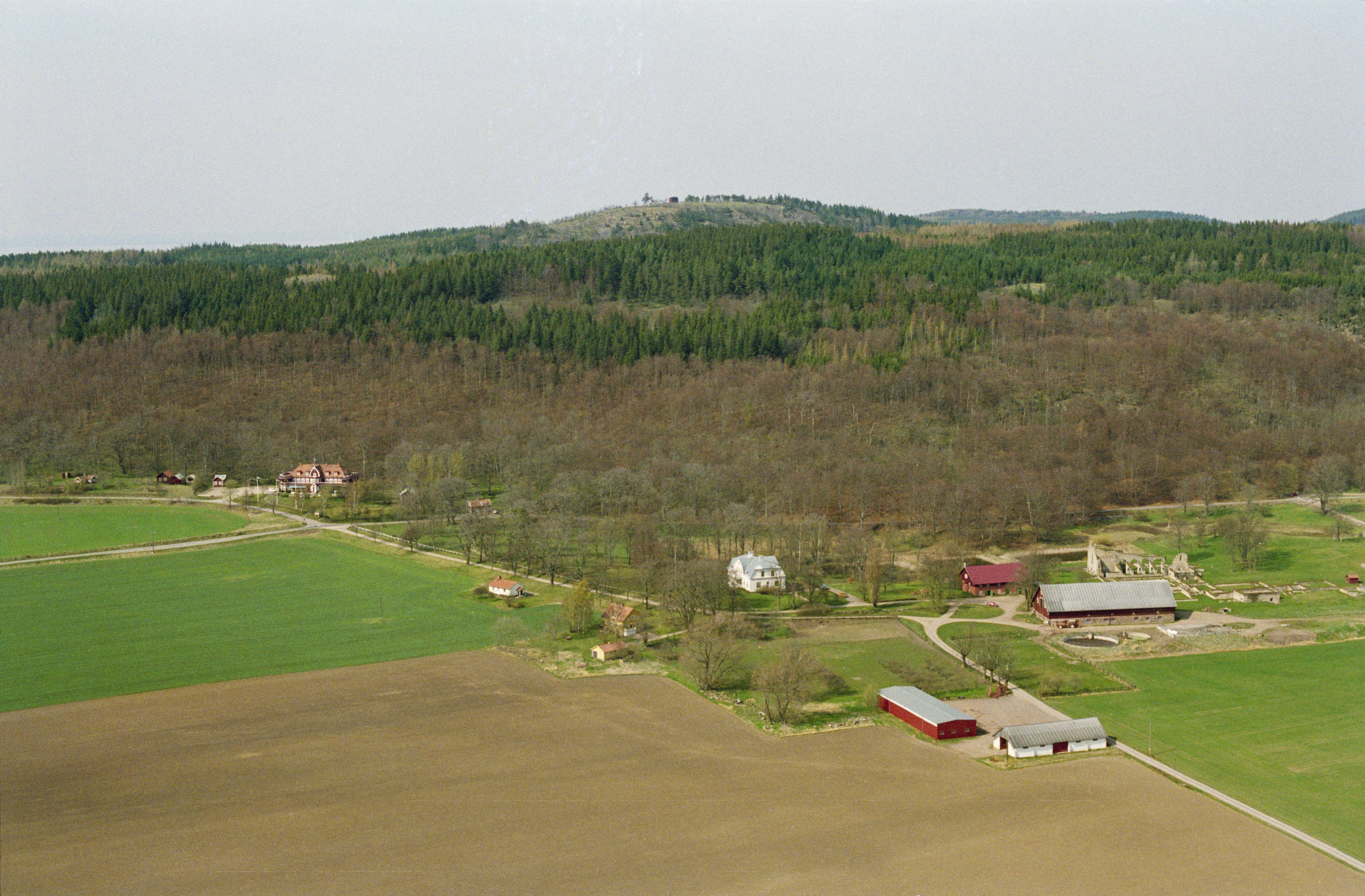 Jan Norrman, Västra Tollstad 1:1