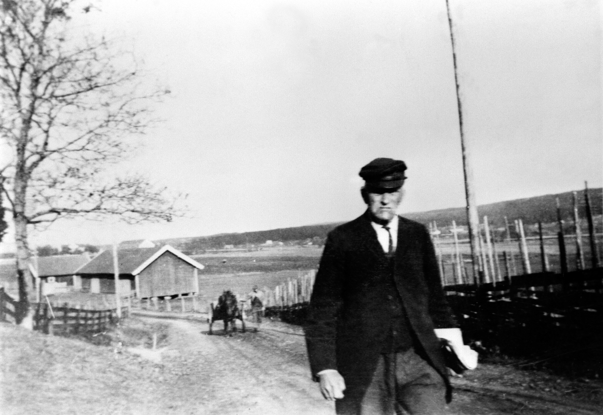 Anno Domkirkeodden, LARS BUSVOLD SEN. , TEKST TIL FOTO: BESTEFAR INSPISERER HØSTONNA. , BUSVOLD.