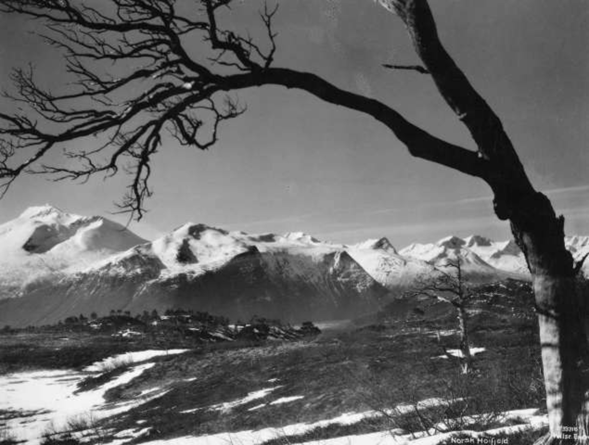 Anders Beer Wilse, -5787