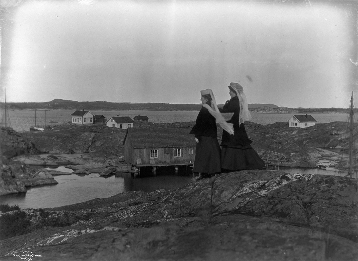 Anders Beer Wilse, Prot: Holmene de graa Rauene Sommeridyl 1908