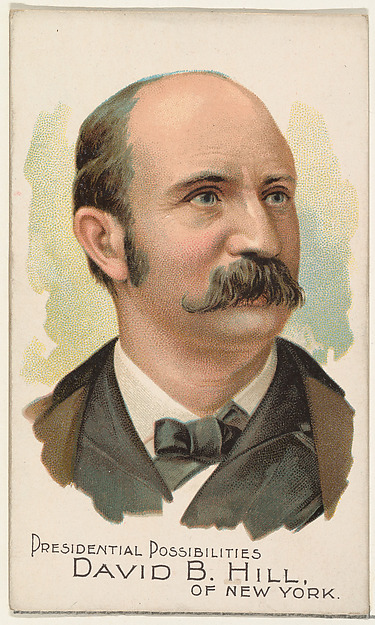 W. Duke, Sons & Co., David B. Hill of New York, from the Presidential Possibilities series (N124) issued by Duke Sons & Co. to promote Honest Long Cut Tobacco